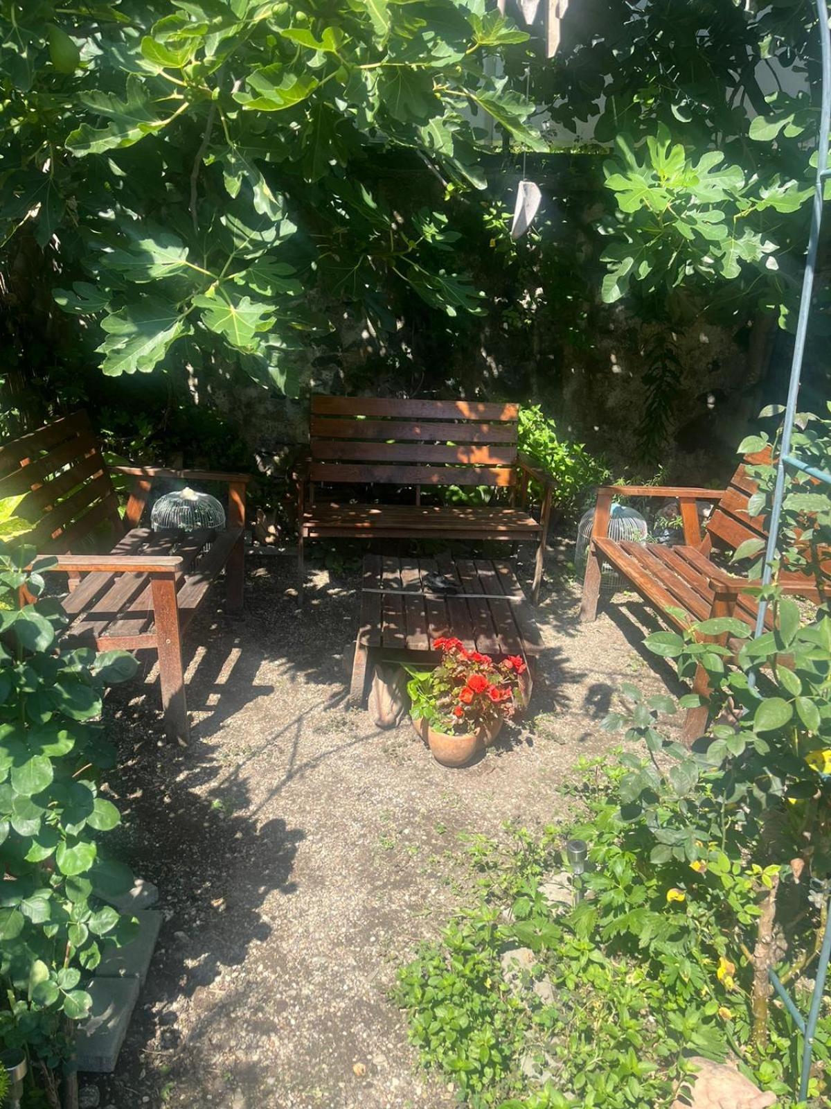 Casa De Oaspeti Dunarea La Cazane Dunatölgyes Kültér fotó