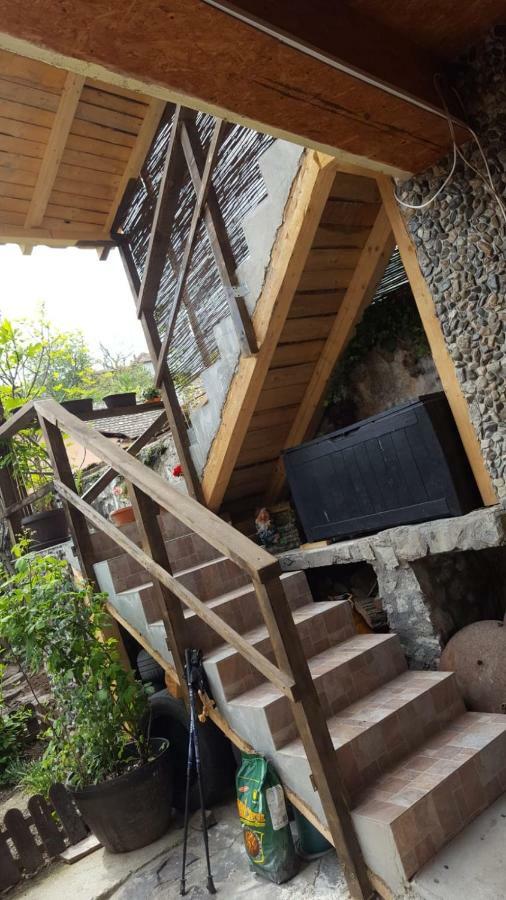 Casa De Oaspeti Dunarea La Cazane Dunatölgyes Kültér fotó