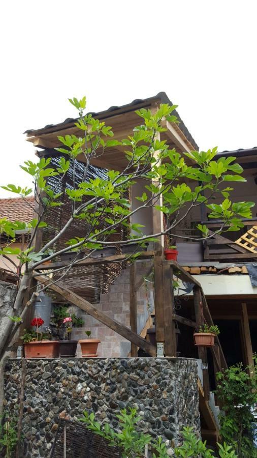 Casa De Oaspeti Dunarea La Cazane Dunatölgyes Kültér fotó